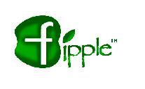 FIPPLE IT TECHNOLOGIES PRIVATE LIMITED , Solving problems through data intelligence.
